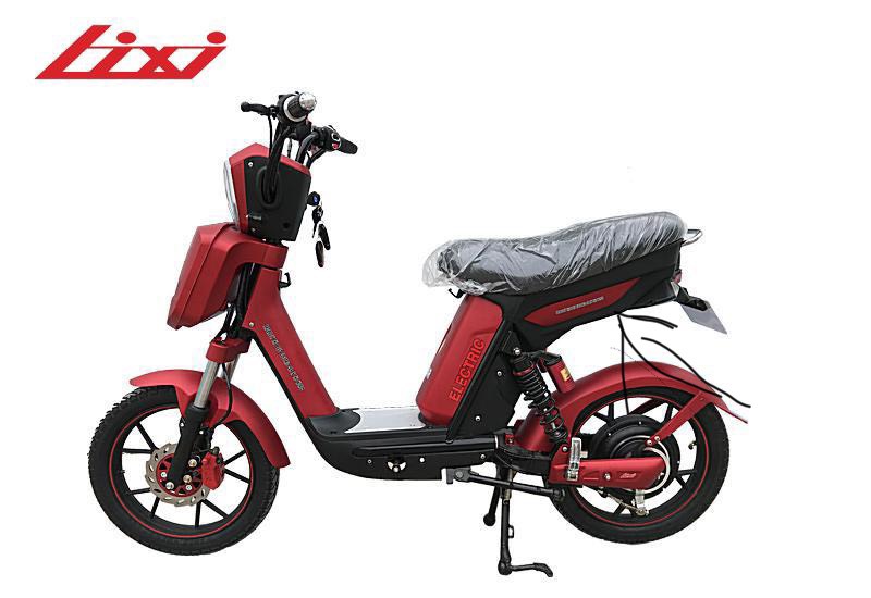 Xe đạp điện Lixi 